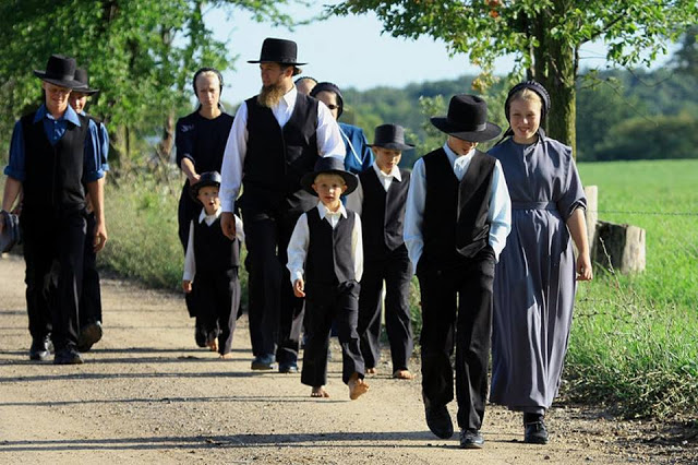 Amish Hoa Ky.jpg